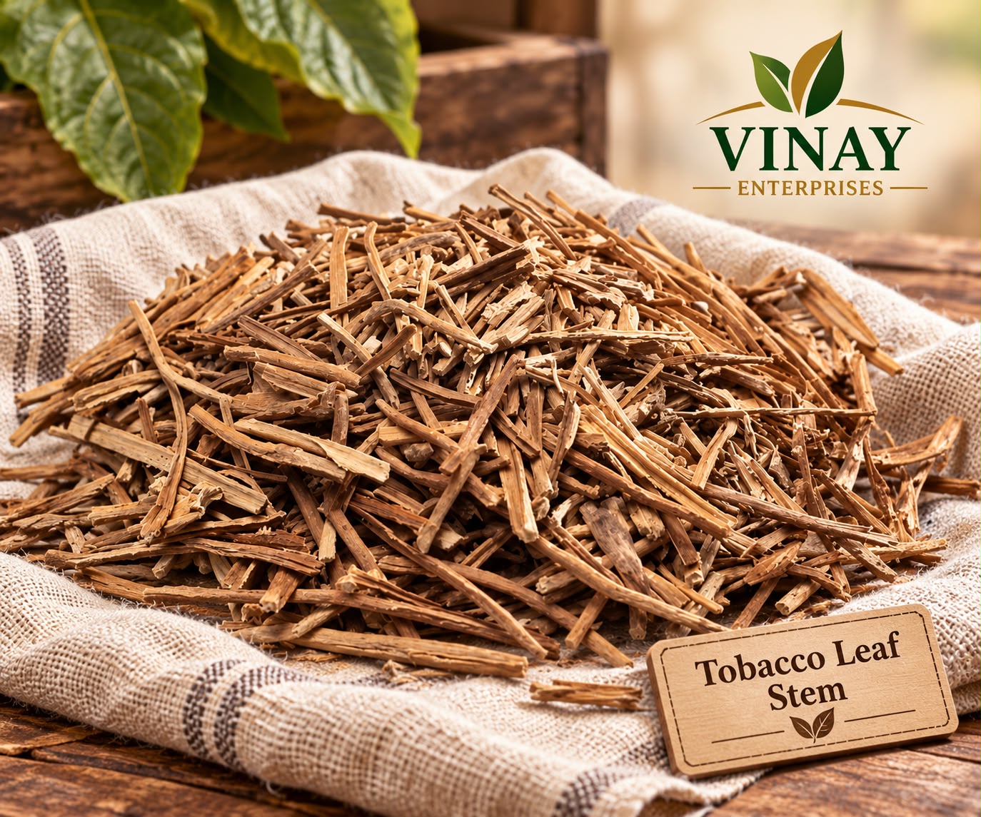 Tobacco Leaf 04